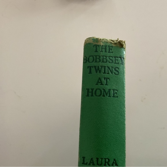 The Bobbsey Twins at Home Book - Picture 2 of 10